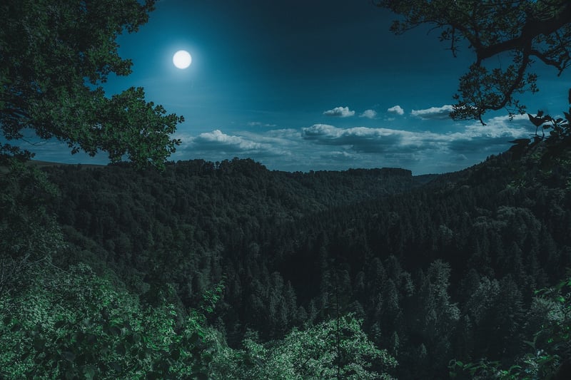 Moonlit celebration