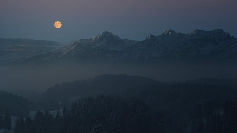 Moonlit Elegance